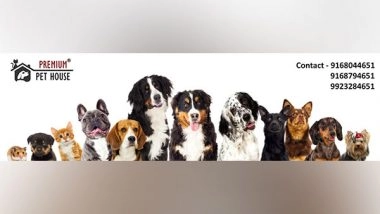 Business News | Essential Puppy Care Tips Every New Pet Parent In India Should Know: A Guide By Premium Pet House