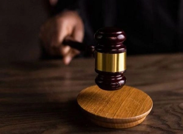 India News | Relocation of Dairy Colony: Delhi HC Directs Police to Provide Protection to Animal Activist