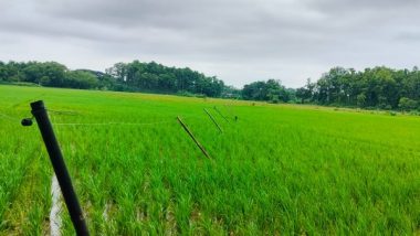 India News | Assam: Anti-elephant Seasonal Solar Fence Helps Mirza Farmers Reap Good Harvest