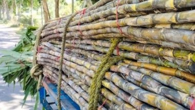 Business News | Ethanol Production to Normalise Soon as Restrictions on Molasses, Sugarcane Juice Removed: DAM Capital