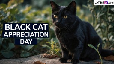 Black Cat Appreciation Day 2024 Quotes and Messages: Share Powerful Sayings, Black Cat Images and Wallpapers To Appreciate Positive Qualities of Black Cats