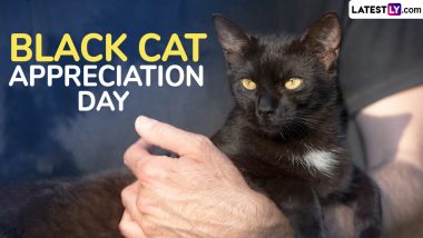 Black Cat Appreciation Day 2024 Date and Significance: All You Need To Know About the Day That Dispels the Myths About Black Cats