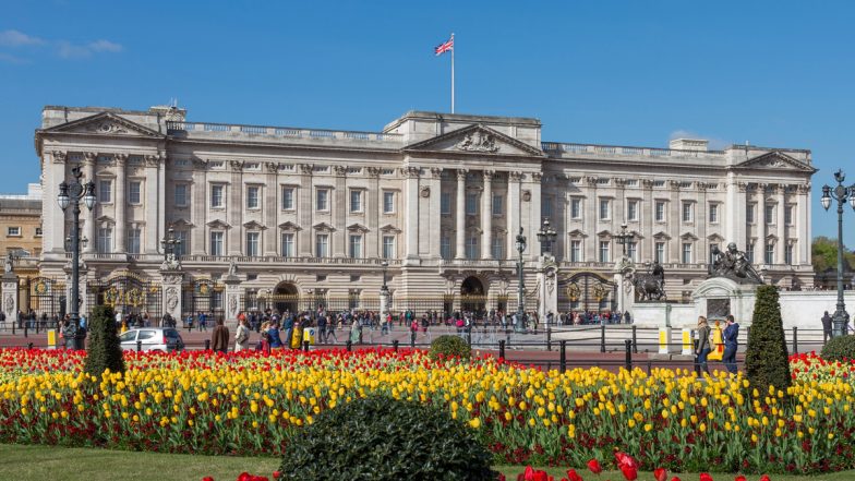 UK: Buckingham Palace Guard Slips and Falls on Backside While on Duty, Quickly Gets Up To Return to His Post; Viral Video Surfaces