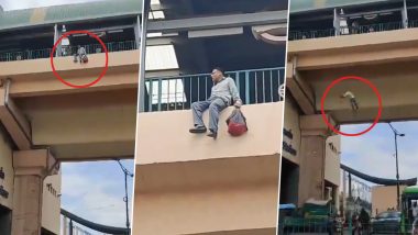 Suicide Caught on Camera in Delhi: Man Jumps to Death From Maharaja Surajmal Metro Station Platform in National Capital, Disturbing Video Surfaces