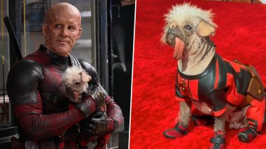 Dogpool Viral Pictures and Videos: Peggy, Britain’s Ugliest Dog, Cast in ‘Deadpool & Wolverine’ Takes the Internet by Storm As the New Marvel Superhero