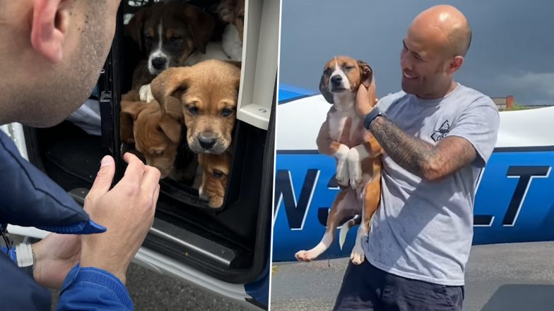 Dr Brian Rambarran, Buffalo Doctor From New York Flies Plane to North Carolina To Rescue Dogs From Kill Shelters, Adorable Video Will Melt Your Heart (Watch)