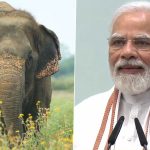 World Elephant Day 2024: PM Narendra Modi Reaffirms Commitment to Doing Everything To Ensure Conducive Habitat for Elephants, Says Jumbo Population on Rise in India