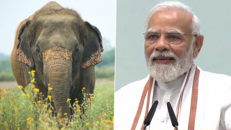 World Elephant Day 2024: PM Narendra Modi Reaffirms Commitment to Doing Everything To Ensure Conducive Habitat for Elephants, Says Jumbo Population on Rise in India