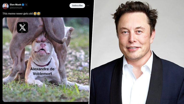 Elon Musk Shares ‘Funny’ Meme To Take a Dig at Supreme Court Judge Alexandre De Moraes, Calls Top Brazilian Judge ‘Voldemort’ Following Suspension of X in Brazil