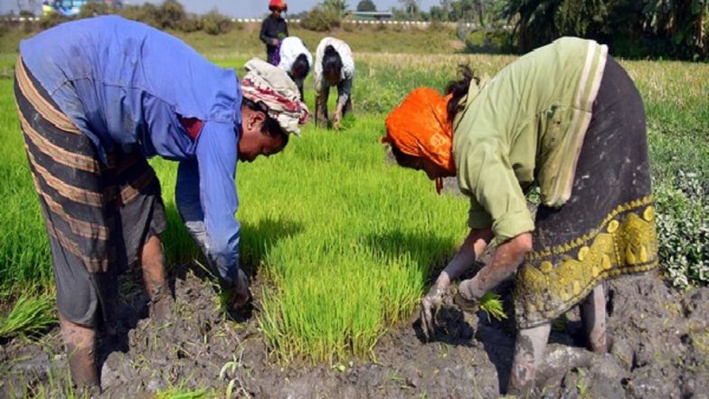 PM Kisan Yojna 19th Installment Date: Know How To Register