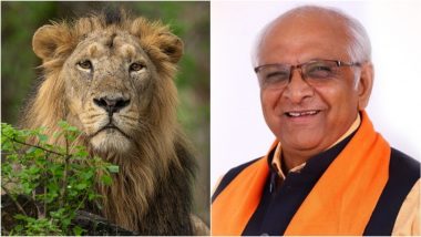 World Lion Day 2024: Gujarat CM Bhupendra Patel Unveils Gir Forest Biodiversity Exhibition To Raise Awareness About Unique Ecosystem of Gir Forest