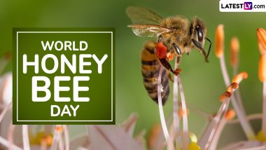 World Honey Bee Day 2024 Date and Significance: All You Need To Know About the Day That Raises Awareness About the Importance of Bees in Ecosystem