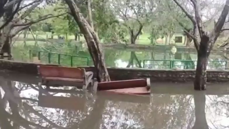 Delhi Rains: 7-Year-Old Boy Drowns in Pond Formed Due to Rainwater in Rohini (Watch Video)