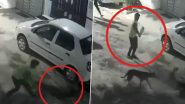 Animal Cruelty in Lucknow: Stray Dog Dies as 3 Youths Brutally Thrash It With Cricket Bat, Nail-Studded Sticks in UP; Police Respond After Disturbing Video Surfaces