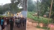 Elephant Dies in West Bengal&rsquo;s Jhargram After Villagers Try to Drive It Away With Spiked Rods, Fireballs; Videos Surface