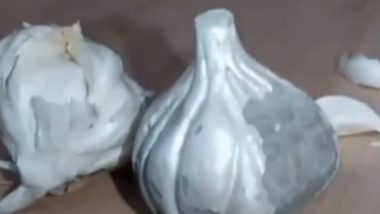 Akola: Amid Soaring Prices, Fake Garlic Made With Cement Found in Maharashtra; Video Surfaces