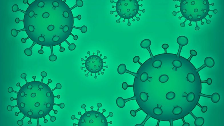 HMPV Virus in India: 2 Cases of Human Metapneumovirus Detected in Karnataka, Confirms Health Ministry