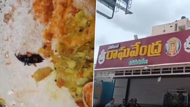 Cockroach in Dosa: Customer Finds Burnt Cockroach in Masala Dosa at Hyderabad’s Sri Raghavendra Hotel (Watch Videos)