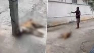 Animal Cruelty in Rangareddy: Man Ties Stray Dog to Pole, Brutally Beats It to Death in Telangana&rsquo;s Aziz Nagar; Disturbing Video Surfaces