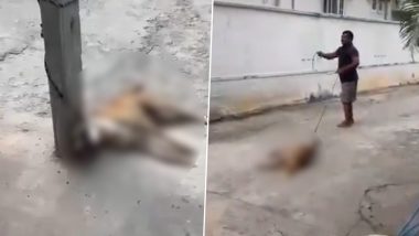 Animal Cruelty in Rangareddy: Man Ties Stray Dog to Pole, Brutally Beats It to Death in Telangana’s Aziz Nagar; Disturbing Video Surfaces