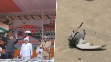 'Go Kabutar Go' Chhattisgarh Version: Viral Video of Chhattisgarh SP Releasing Dove as Part of Independence Day Celebration Will Remind You of Iconic Scene From 'Panchayat 3' (Watch)