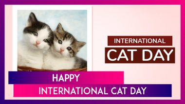 International Cat Day 2024 Quotes, Wishes, Greetings and Messages To Celebrate Your Feline Friend