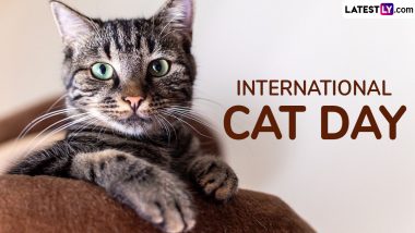 International Cat Day 2024 Quotes and HD Images: Adorable Cat Captions, Sayings, GIFs and Wallpapers To Share on Instagram Celebrating Your Feline Friend