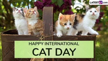 Happy International Cat Day 2024 Wishes and HD Images: These Cat Day Messages, Quotes and Sayings Are Perfect for Instagram Captions To Celebrate Your Furry Friend