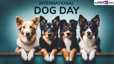 International Dog Day 2024 Date and Significance: All You Need To Know About the Day That Celebrates Your Furry Friend