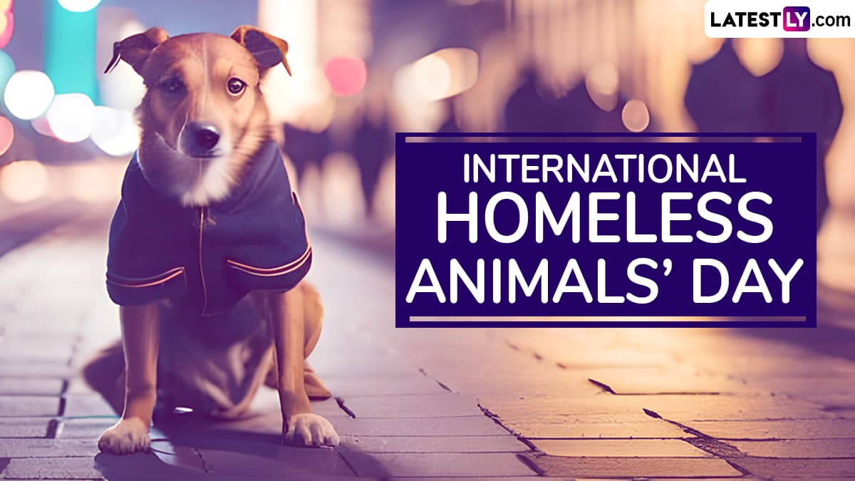 Festivals & Events News | When Is International Homeless Animals' Day ...