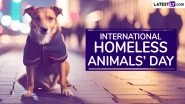 International Homeless Animals' Day 2024 Date and Activities: Know History and Significance of the Global Event That Raises Awareness About Homeless Animals