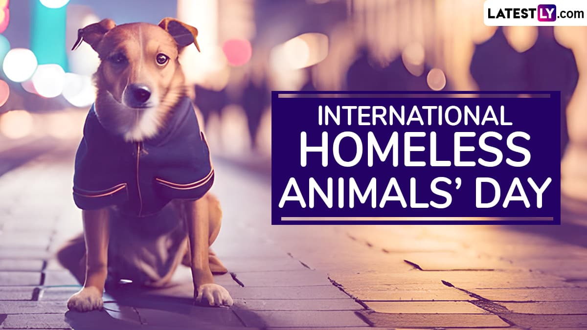 Festivals & Events News When Is International Homeless Animals' Day
