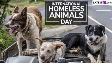 International Homeless Animals Day 2024 Quotes: Share Powerful Sayings, Messages, HD Images and Wallpapers To Raise Awareness About Homeless Animals