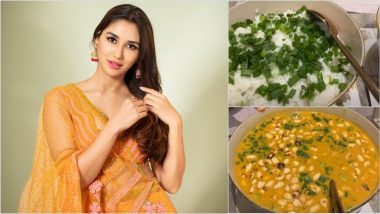 Healthy Vegan Dinner on Nikita Dutta's IG Story Looks Yummy As 'Gharat Ganpati' Actress Gives a Glimpse of Yellow Thai Curry and Steamed Rice