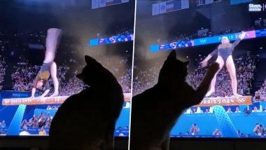 International Cat Day 2024: Hilarious Video of Cat’s Paw Movement to Olympic Athlete’s Near-Miss at the 2024 Paris Summer Games Goes Viral