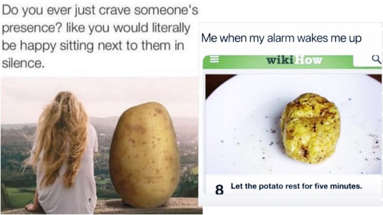 National Potato Day 2024 Funny Memes and Jokes! Share Happy Potato GIF Messages, Potato Puns and Photos Because You Are A Proud Couch Potato