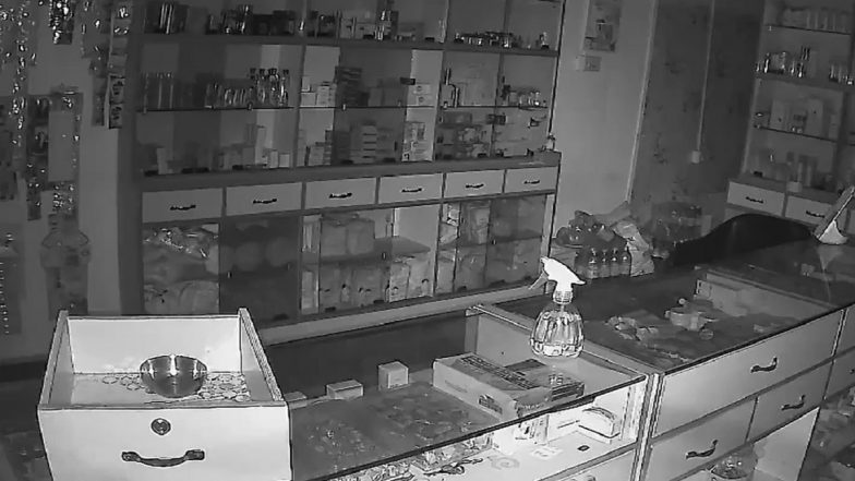 Pune: Three Men Break Open Shutter of Medical Store in Tathawade, Flee With Cash; CCTV Footage of Theft Surfaces