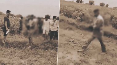 Tiger Attack in Rajasthan: Tiger Bites Man’s Arm, Attacks 3 Others in Khairthal-Tijara District; Disturbing Video Surfaces