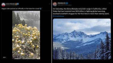 Rare August Snowfall in Sierra Nevada Mountains: California Weather Takes Unexpected Turn As the US State Sees Winter Wonderland in Summer for First Time in 20 Years (Watch Videos)