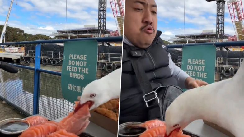 TikToker’s Food Review Goes Horribly Wrong After Birds Attack and Steal Food From His Plate, Video Goes Viral (Watch)