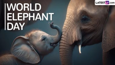 World Elephant Day 2024 Date, History and Significance: All You Need To Know About the Day That Aims for the Conservation of Elephants Worldwide