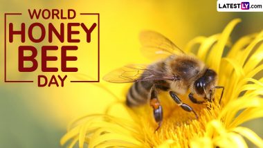 World Honey Bee Day 2024 Quotes and Messages: Powerful Sayings, HD Photos and Wallpapers To Celebrate the Day Dedicated to Crucial Role Played by Honey Bees