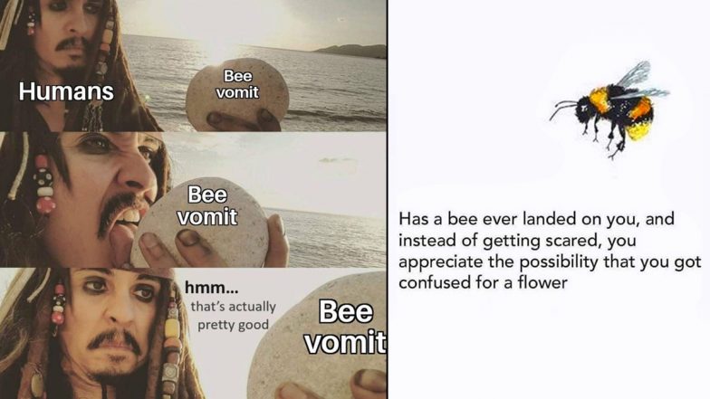 World Honey Bee Day 2024 Funny Memes and Images: Hilarious Bee Jokes and Puns That Are Pure Bee-Ness!