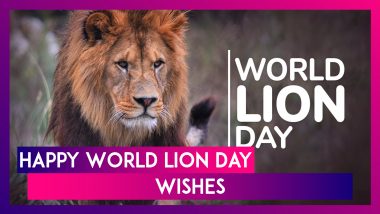 World Lion Day 2024 Wishes, Greetings, Quotes and Messages To Celebrate the Majestic Creature