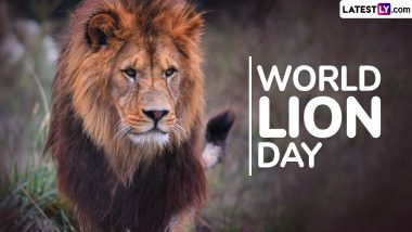 World Lion Day 2024 Date: Know History and Significance of the Day That Highlights the Challenges Lions Face in the Wild