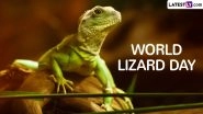 World Lizard Day 2024 Date and Significance: Here&rsquo;s What You Should Know About the Day That Aims To Raise Awareness About the Reptile