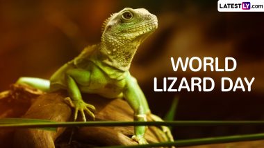 World Lizard Day 2024 Date and Significance: Here’s What You Should Know About the Day That Aims To Raise Awareness About the Reptile