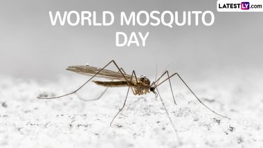 World Mosquito Day 2024: West Nile Virus, Malaria and Chikungunya – Diseases That Can Be Transmitted by Mosquitoes