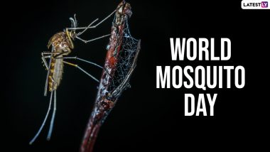 World Mosquito Day 2024: African Scientists Warn of Surge in Mosquito-Borne Diseases Amid Climate Change