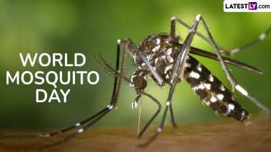 World Mosquito Day 2024 Date and Theme: Know Significance of the Day That Marks the Discovery of How Malaria Is Transmitted